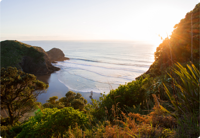 Beach nestled in a cove